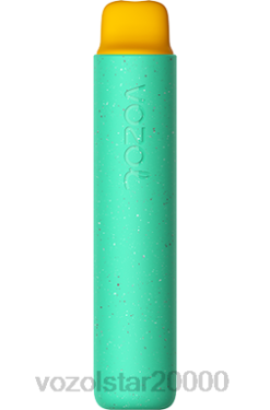 VOZOL Kur Pirkt - VOZOL STAR 2000. gads VRDD155 gumijas lācis