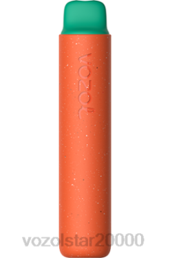 VOZOL Latvija - VOZOL STAR 2000. gads VRDD163 aveņu arbūzs